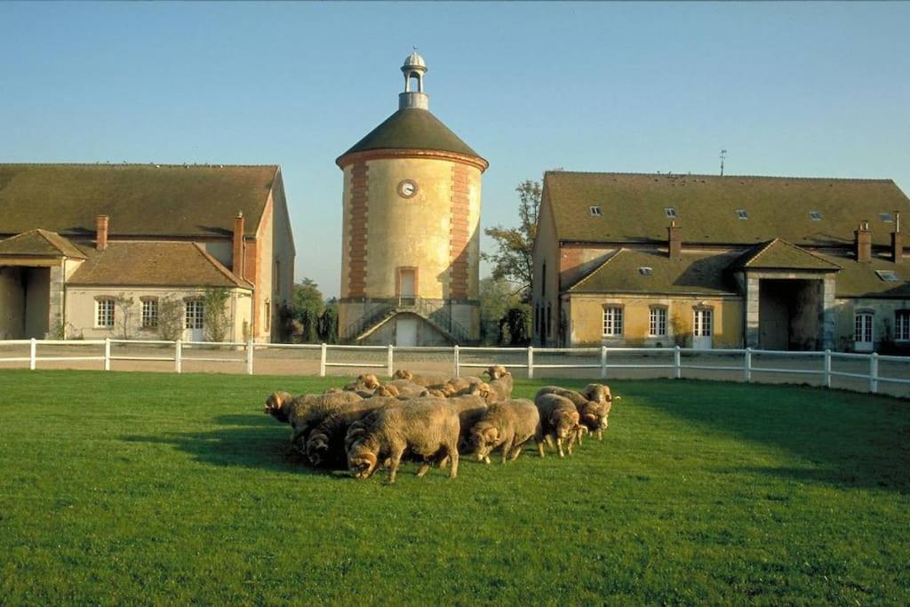 Gite De L'Alisier - Rambouillet - Esterno foto