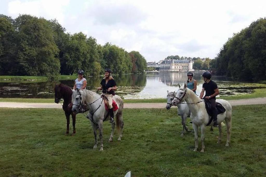 Gite De L'Alisier - Rambouillet - Esterno foto
